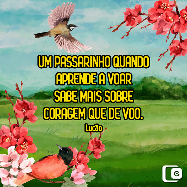 #pensamentododia: coragem!