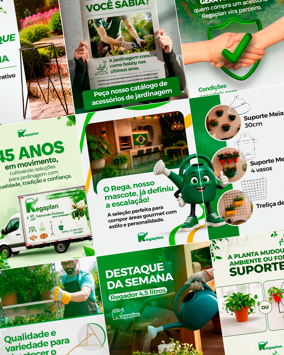 Autoridade se constrói com constância, experiência e uma comunicação que valoriza cada etapa da trajetória.